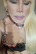 Milano Trans Escort Nicole Vip Venturiny 353 35 38 868 foto selfie 418