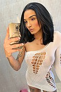 Bologna Trans Brunna Campanaro 351 07 06 381 foto selfie 10