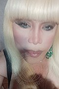 Milano Trans Nicole Vip Venturiny 353 35 38 868 foto selfie 402