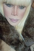 Milano Trans Escort Nicole Vip Venturiny 353 35 38 868 foto selfie 393