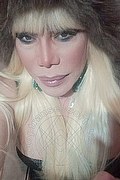 Milano Trans Escort Nicole Vip Venturiny 353 35 38 868 foto selfie 378