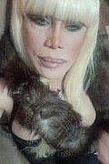 Milano Trans Escort Nicole Vip Venturiny 353 35 38 868 foto selfie 364