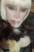 Milano Trans Escort Nicole Vip Venturiny 353 35 38 868 foto selfie 346