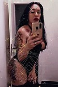 Gallarate Trans Escort Melany 350 81 11 282 foto selfie 1