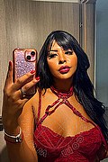 Civitanova Marche Trans Melly Ferraz 389 79 24 141 foto selfie 1