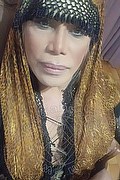 Milano Trans Nicole Vip Venturiny 353 35 38 868 foto selfie 247