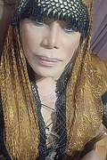 Milano Trans Escort Nicole Vip Venturiny 353 35 38 868 foto selfie 247