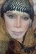 Milano Trans Escort Nicole Vip Venturiny 353 35 38 868 foto selfie 238