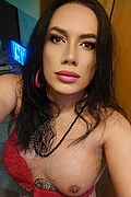 Prato Trans Escort Sexy Sophie 339 82 41 081 foto selfie 1