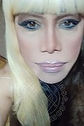 Milano Trans Nicole Vip Venturiny 353 35 38 868 foto selfie 218