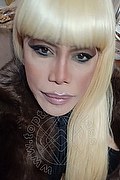 Milano Trans Nicole Vip Venturiny 353 35 38 868 foto selfie 178
