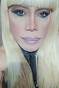 Milano Trans Nicole Vip Venturiny 353 35 38 868 foto selfie 172
