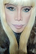 Milano Trans Escort Nicole Vip Venturiny 353 35 38 868 foto selfie 234