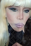 Milano Trans Escort Nicole Vip Venturiny 353 35 38 868 foto selfie 229