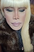 Milano Trans Escort Nicole Vip Venturiny 353 35 38 868 foto selfie 214