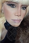 Milano Trans Escort Nicole Vip Venturiny 353 35 38 868 foto selfie 211