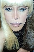 Milano Trans Escort Nicole Vip Venturiny 353 35 38 868 foto selfie 201