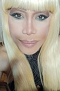 Milano Trans Escort Nicole Vip Venturiny 353 35 38 868 foto selfie 198