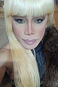 Milano Trans Escort Nicole Vip Venturiny 353 35 38 868 foto selfie 197