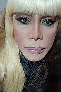 Milano Trans Escort Nicole Vip Venturiny 353 35 38 868 foto selfie 195