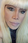 Milano Trans Escort Nicole Vip Venturiny 353 35 38 868 foto selfie 187
