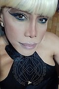 Milano Trans Escort Nicole Vip Venturiny 353 35 38 868 foto selfie 177