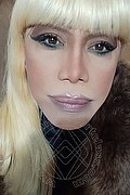 Milano Trans Escort Nicole Vip Venturiny 353 35 38 868 foto selfie 146