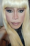 Milano Trans Escort Nicole Vip Venturiny 353 35 38 868 foto selfie 137