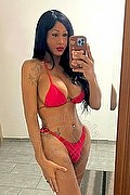 Verona Trans Paula Lucarely 327 27 72 495 foto selfie 2