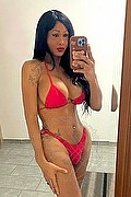 Verona Trans Escort Paula Lucarely 327 27 72 495 foto selfie 1