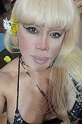 Milano Trans Nicole Vip Venturiny 353 35 38 868 foto selfie 123