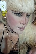 Milano Trans Nicole Vip Venturiny 353 35 38 868 foto selfie 119