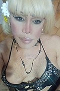 Milano Trans Escort Nicole Vip Venturiny 353 35 38 868 foto selfie 125