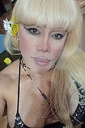 Milano Trans Escort Nicole Vip Venturiny 353 35 38 868 foto selfie 123