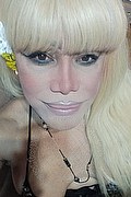 Milano Trans Escort Nicole Vip Venturiny 353 35 38 868 foto selfie 115