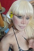 Milano Trans Escort Nicole Vip Venturiny 353 35 38 868 foto selfie 109