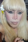 Milano Trans Nicole Vip Venturiny 353 35 38 868 foto selfie 86