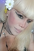 Bergamo Trans Escort Nicole Vip Venturiny 353 35 38 868 foto selfie 86