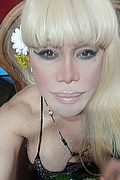 Milano Trans Escort Nicole Vip Venturiny 353 35 38 868 foto selfie 102