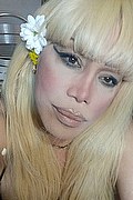 Milano Trans Escort Nicole Vip Venturiny 353 35 38 868 foto selfie 101