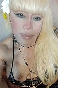 Milano Trans Escort Nicole Vip Venturiny 353 35 38 868 foto selfie 99