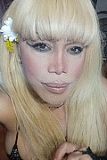 Milano Trans Escort Nicole Vip Venturiny 353 35 38 868 foto selfie 86