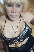 Bergamo Trans Escort Nicole Vip Venturiny 353 35 38 868 foto selfie 47