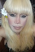 Milano Trans Escort Nicole Vip Venturiny 353 35 38 868 foto selfie 74