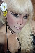 Milano Trans Escort Nicole Vip Venturiny 353 35 38 868 foto selfie 73