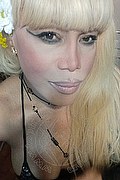Milano Trans Escort Nicole Vip Venturiny 353 35 38 868 foto selfie 68