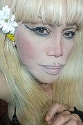 Milano Trans Escort Nicole Vip Venturiny 353 35 38 868 foto selfie 60