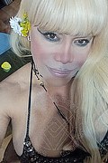 Milano Trans Escort Nicole Vip Venturiny 353 35 38 868 foto selfie 56
