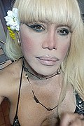 Milano Trans Escort Nicole Vip Venturiny 353 35 38 868 foto selfie 53