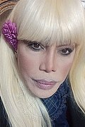 Milano Trans Escort Nicole Vip Venturiny 353 35 38 868 foto selfie 35